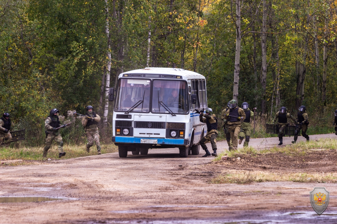 Обучение