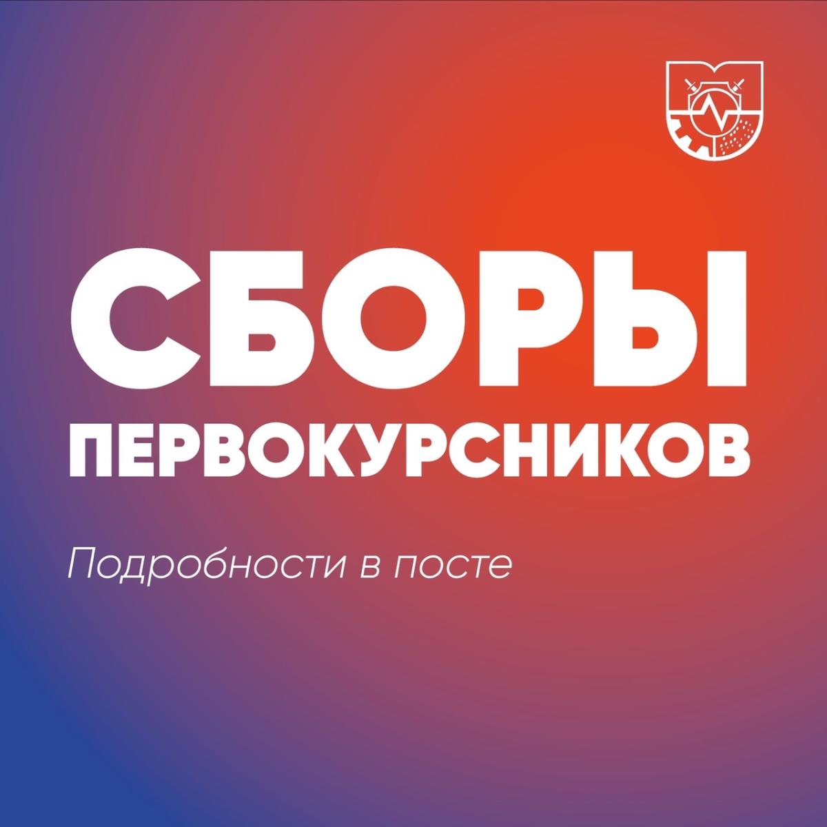 Первокурсники колледжа МИ ВлГУ❗ Внимание❗