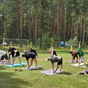 Лето в стиле МИВлГУ: как наши преподаватели и сотрудники совмещают отдых, спорт и науку